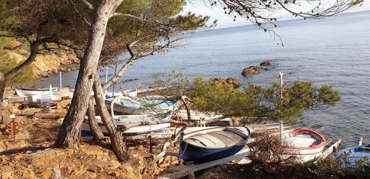 Chambres D'Hotes Chez Pat Et Nanou Six-Fours-les-Plages Dış mekan fotoğraf
